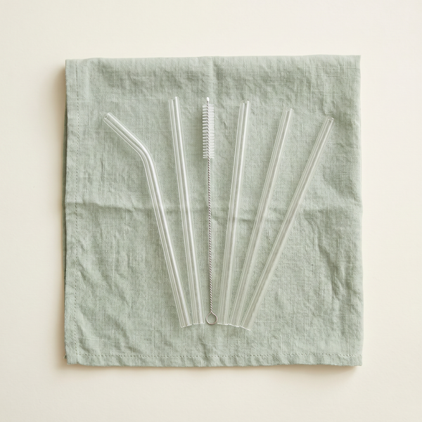 EcoNest Borosilicate Glass Straw Set with Cleaning Brush